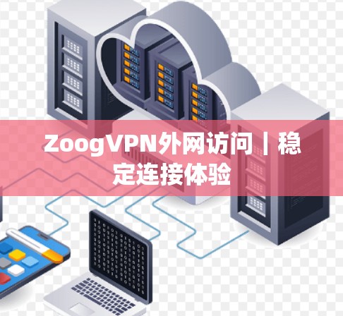 ZoogVPN外网访问｜稳定连接体验