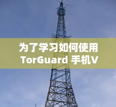 为了学习如何使用 TorGuard 手机VPN，以下是一个清晰的步骤指南