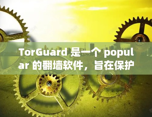 TorGuard 是一个 popular 的翻墙软件,旨在保护用户的网络隐私,防止被恶意软件攻击。它支持多种类型的文件和数据,包括但不限于