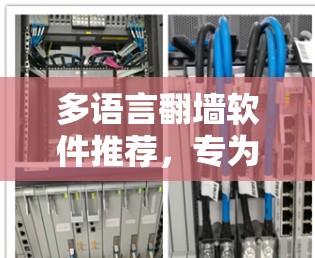 多语言翻墙软件推荐,专为用户优化的稳定梯子