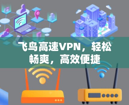 飞鸟高速VPN，轻松畅爽，高效便捷