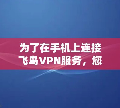 为了在手机上连接飞鸟VPN服务，您可以按照以下步骤操作