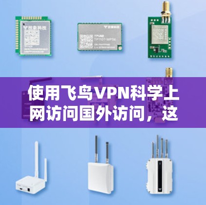 使用飞鸟VPN科学上网访问国外访问，这通常会在特定的网络连接和使用权限下进行。以下是一些关键点和注意事项