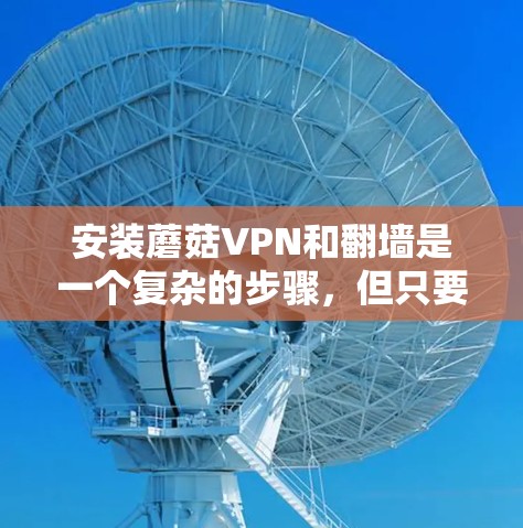安装蘑菇VPN和翻墙是一个复杂的步骤,但只要按照以下步骤进行,可以逐步完成