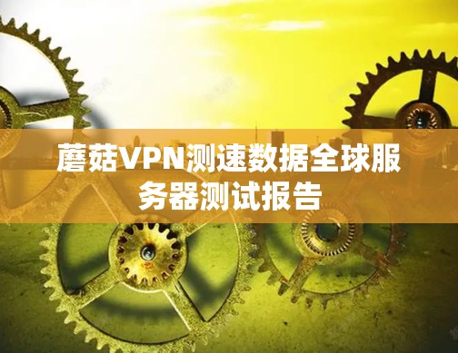蘑菇VPN测速数据全球服务器测试报告