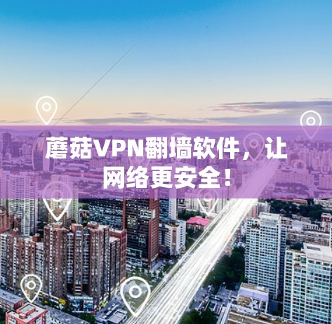 蘑菇VPN翻墙软件,让网络更安全!