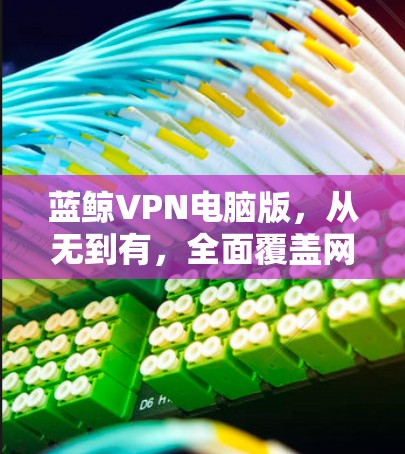 蓝鲸VPN电脑版，从无到有，全面覆盖网络