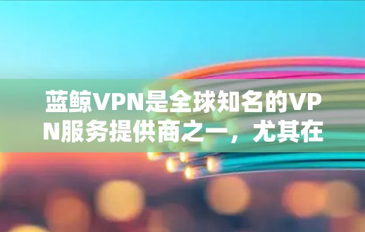 蓝鲸VPN是全球知名的VPN服务提供商之一，尤其在偏远地区（如机场）提供高覆盖和高速的网络服务。以下是蓝鲸VPN在机场节点和高速服务器方面的推荐，帮助您在机场使用最佳的网络环境
