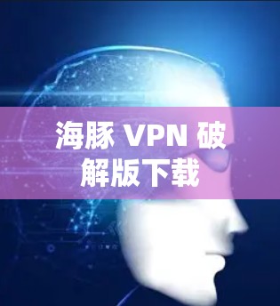 海豚 VPN 破解版下载