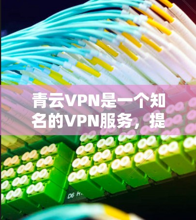 青云VPN是一个知名的VPN服务,提供多种版本,包括Windows版。以下是关于如何使用青云VPN在电脑上连接到远程服务器的步骤指南
