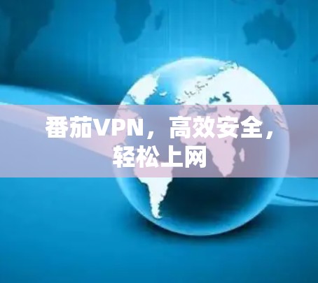 番茄VPN,高效安全,轻松上网