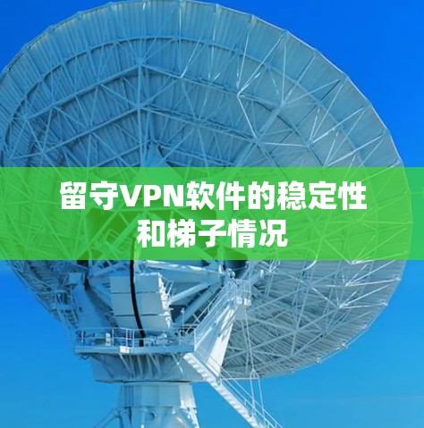 留守VPN软件的稳定性和梯子情况