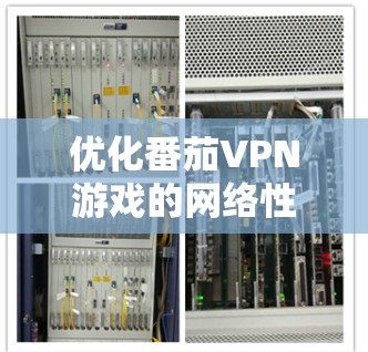 优化番茄VPN游戏的网络性能,可以按照以下步骤进行