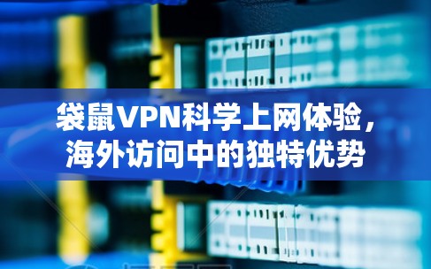 袋鼠VPN科学上网体验,海外访问中的独特优势