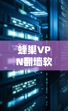 蜂巢VPN翻墙软件,技术解析与应用推荐