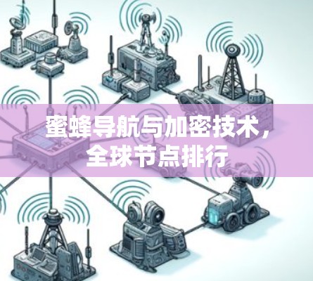 蜜蜂导航与加密技术,全球节点排行