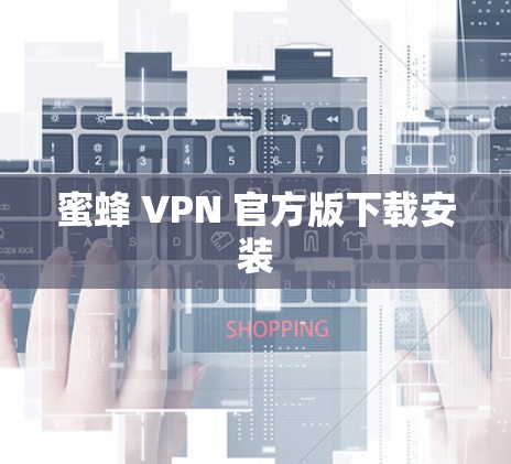 蜜蜂 VPN 官方版下载安装