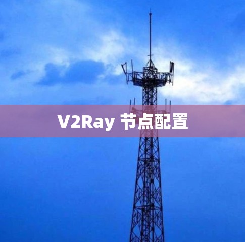 V2Ray 节点配置 V2Ray 节点配置