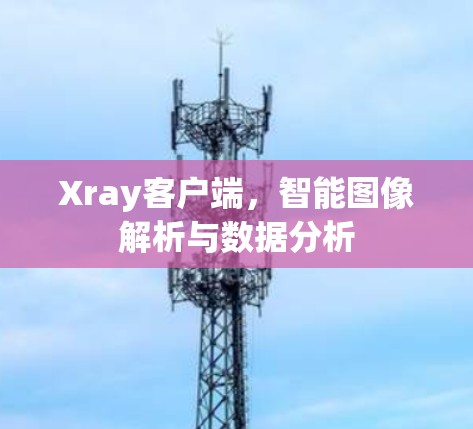 Xray客户端，智能图像解析与数据分析