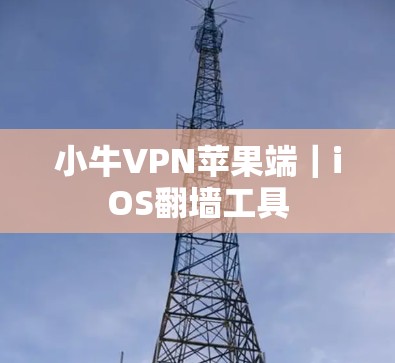 小牛VPN苹果端|iOS翻墙工具