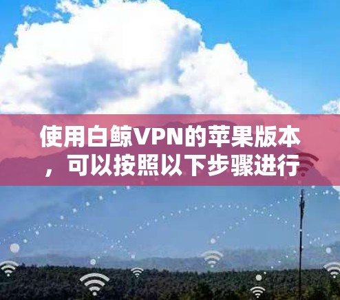 使用白鲸VPN的苹果版本，可以按照以下步骤进行操作