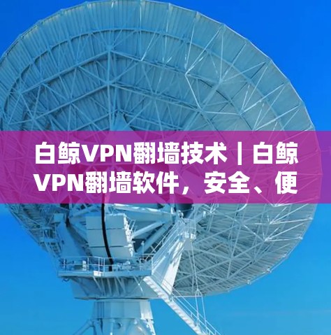 白鲸VPN翻墙技术|白鲸VPN翻墙软件,安全、便捷、功能多,让您的隐私保护更安心
