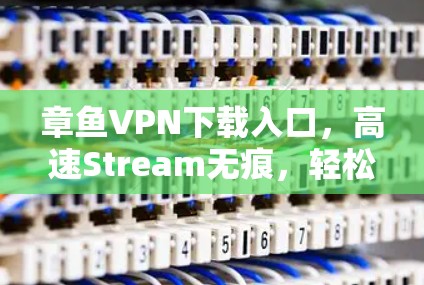 章鱼VPN下载入口,高速Stream无痕,轻松畅玩,值得下载!