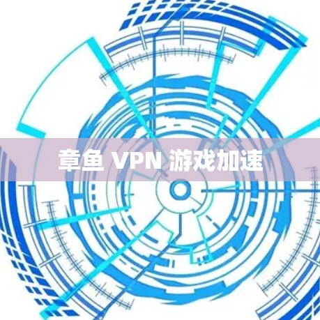 章鱼 VPN 游戏加速 章鱼 VPN 游戏加速