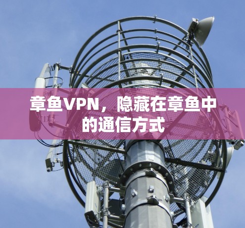 章鱼VPN，隐藏在章鱼中的通信方式