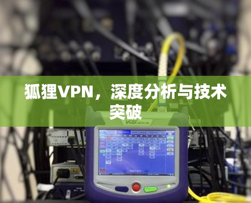 狐狸VPN,深度分析与技术突破