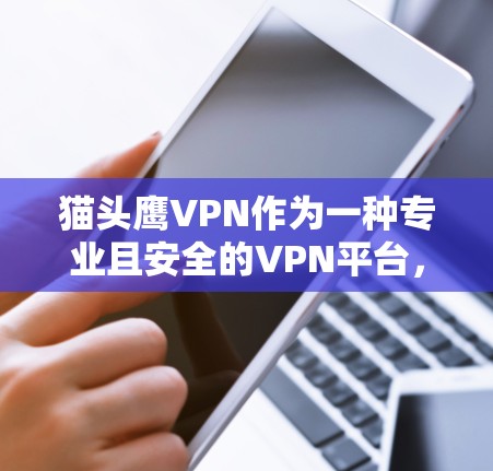 猫头鹰VPN作为一种专业且安全的VPN平台,确实以其高安全性、多点对多和加密技术著称。以下是一些针对普通用户的信息,帮助您选择可靠的VPN