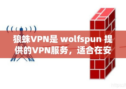 狼蛛VPN是 wolfspun 提供的VPN服务,适合在安卓设备上使用。以下是使用狼蛛VPN的步骤
