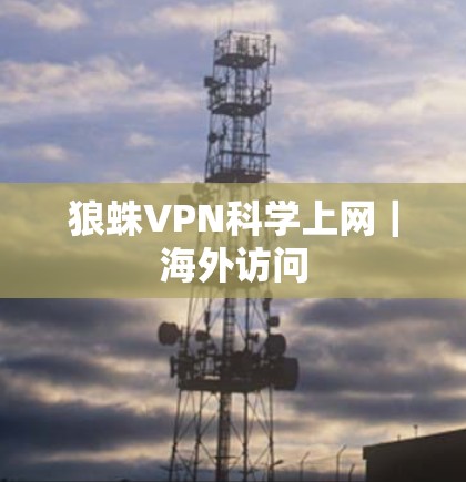 狼蛛VPN科学上网｜海外访问