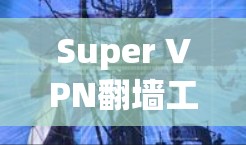 Super VPN翻墙工具梯子软件是一个用于VPN翻墙的软件,旨在帮助用户在没有VPN设备的情况下,通过网络访问其他设备或服务器。以下是关于该工具的详细分析