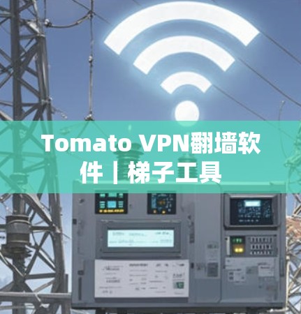 Tomato VPN翻墙软件｜梯子工具