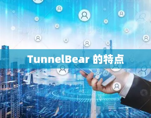TunnelBear 的特点
