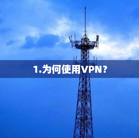 1.为何使用VPN？