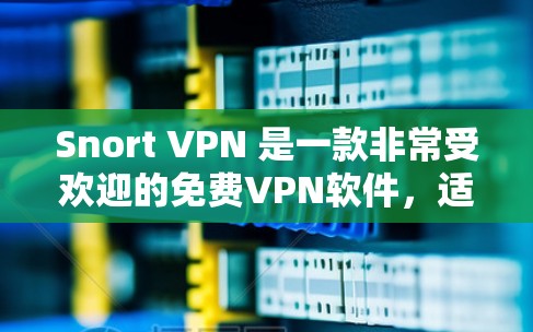 Snort VPN 是一款非常受欢迎的免费VPN软件，适合新手用户。以下是使用 Snort VPN 的步骤说明