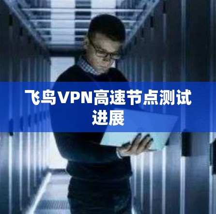 飞鸟VPN高速节点测试进展