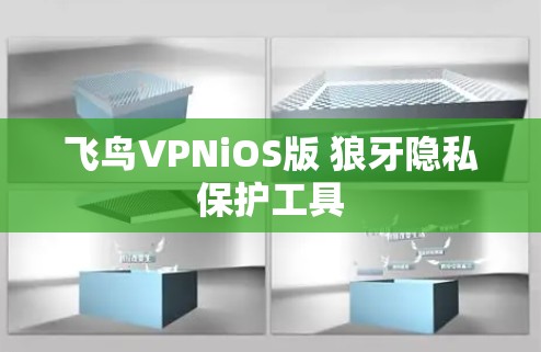 飞鸟VPNiOS版 狼牙隐私保护工具