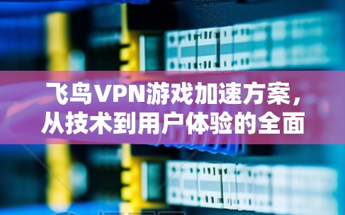 飞鸟VPN游戏加速方案,从技术到用户体验的全面解决方案