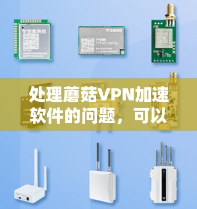 处理蘑菇VPN加速软件的问题,可以按照以下步骤进行