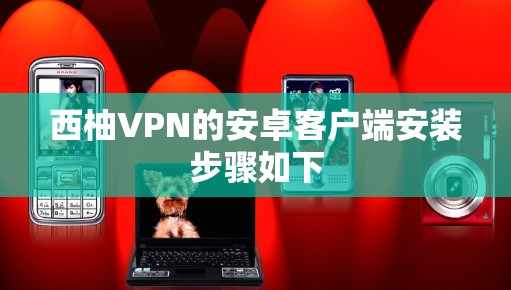 西柚VPN的安卓客户端安装步骤如下