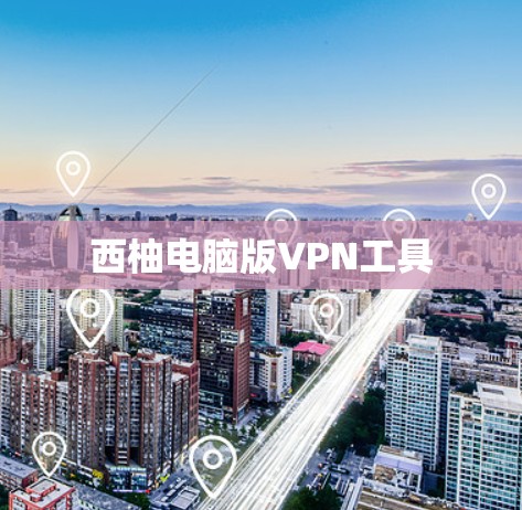 西柚电脑版VPN工具