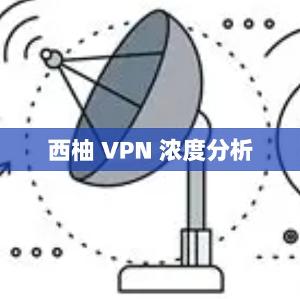 西柚 VPN 浓度分析