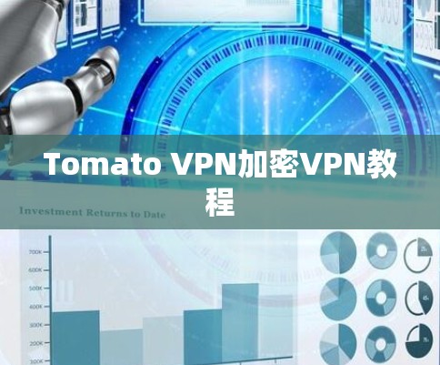 Tomato VPN加密VPN教程