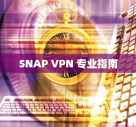 SNAP VPN 专业指南