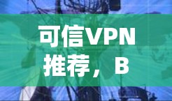可信VPN推荐,Boleh 翻墙软件