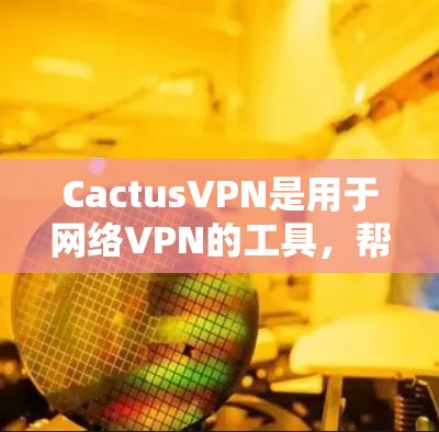 CactusVPN是用于网络VPN的工具，帮助用户方便地访问互联网。以下是使用CactusVPN的教程指南
