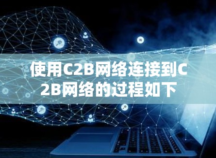 使用C2B网络连接到C2B网络的过程如下
